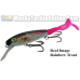 Adam's Custom Lures Havok