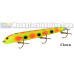 Bobbie Bait 9" Jerkbait