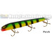 Bobbie Bait 9" Jerkbait
