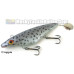 Bondy Bait - Wobbler - Custom Colors