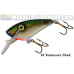 Boss Shad Lures - 4.5" Boss Shad