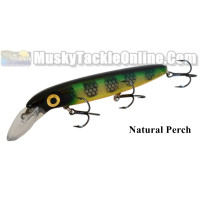 Bucher Baby Depth Raider