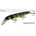 Bucher Baby Depth Raider