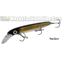Bucher Baby Depth Raider Bucher Baby Depth Raider