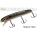 Bucher Baby Shallow Raider