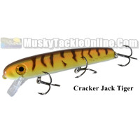 Bucher Baby Shallow Raider