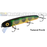 Bucher Baby Shallow Raider
