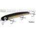Bucher Baby Shallow Raider