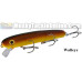 Bucher Baby Shallow Raider