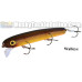 Bucher Baby Shallow Raider Bucher Baby Shallow Raider