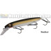 Bucher Depth Raider - Suspending