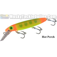 Bucher Depth Raider