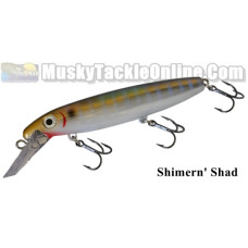 Bucher Depth Raider