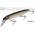 Bucher Depth Raider