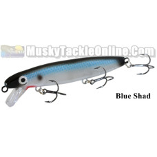 Bucher Shallow Raider