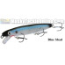 Bucher Shallow Raider