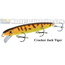 Bucher Shallow Raider