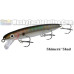 Bucher Shallow Raider