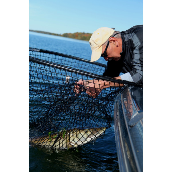 https://www.muskytackleonline.com/image/cache/catalog/Drifter/Nets/Net8-600x600.jpg