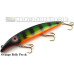 Fat A.Z. Musky Products 10" Raptor