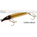 Fat A.Z. Musky Products 6" Raptor