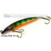 Fat A.Z. Musky Products 6" Raptor