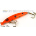 Fat A.Z. Musky Products 6" Raptor