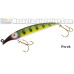 Fat A.Z. Musky Products 6" Raptor