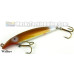 Fat A.Z. Musky Products 6" Raptor