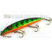 Fat A.Z. Musky Products 8" Raptor