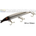 Fat A.Z. Musky Products 8" Raptor