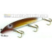 Fat A.Z. Musky Products 8" Raptor