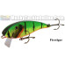 Muskie Train Wake Shad