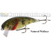 Muskie Train Wake Shad