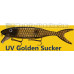 Musky Innovations Magnum Shallow Invader