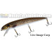 Musky Mania 10" Jake - Live Image