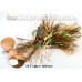 MuskyFrenzy Lures - Apache Double 10