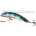 Naze Baits 7" Livid Fish