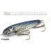 Phantom Lures 6" Phantom Softail - Live Series