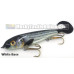 Phantom Lures 6" Phantom Softail - Live Series