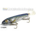 Phantom Lures 7.5" Phantom Softail - Live Series