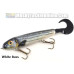 Phantom Lures 7.5" Phantom Softail - Live Series