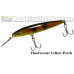 Rapala 5 1/2" Countdown Magnum - Custom Painted