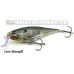 Rapala Super Shad Rap