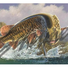 Doug Schermer Muskie Print - Airborne Fury