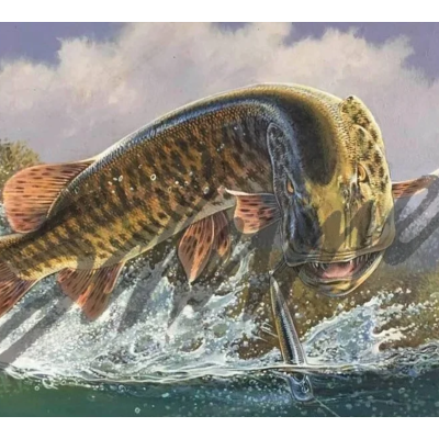 Doug Schermer Muskie Print - Airborne Fury