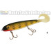Phantom Lures (Todd Cleveland Painted) - 7.5" Phantom Softail
