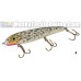 Phantom Lures (Todd Cleveland Painted) - 7.5" WOOD Phantom