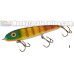 Phantom Lures (Todd Cleveland Painted) - 7.5" Phantom