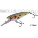 Tuff Shad Lures - 5" Tuff Shad
